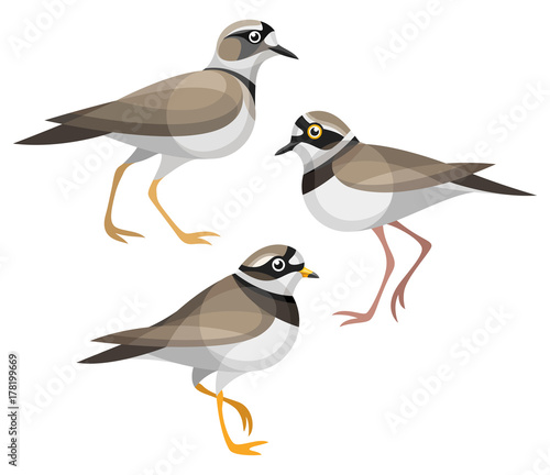 Stylized Birds - Plovers