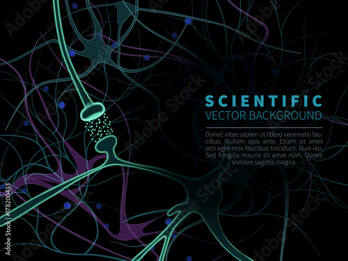 model of neural system