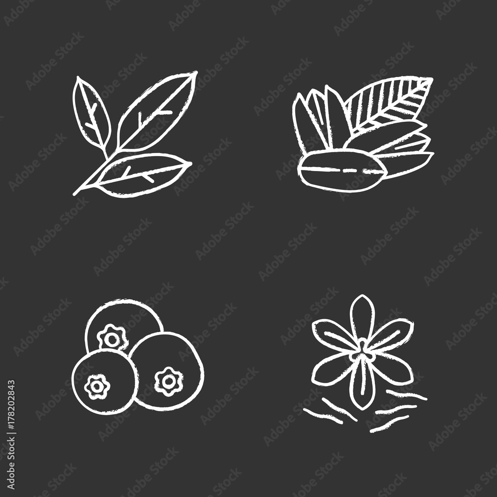 Spices chalk icons set