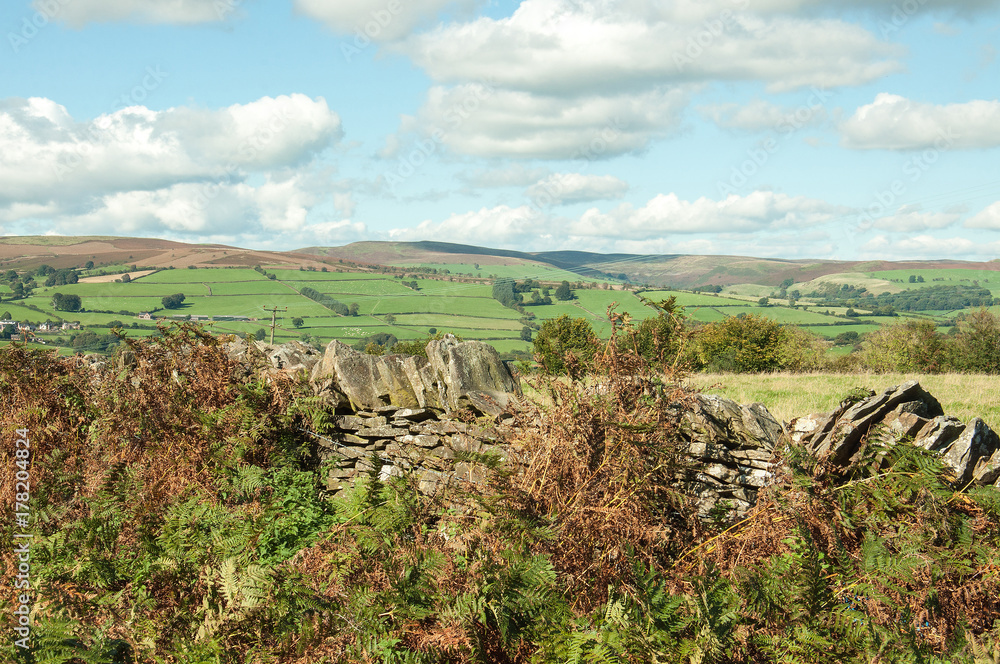 Naklejka premium Welsh countryside and old dry stone wall in the autumn around the Brecon beacons of the United Kingdom.