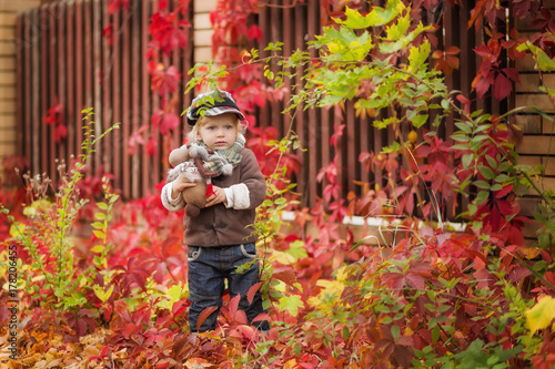 Little boy walks in autumn