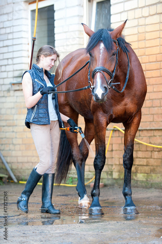 Pretty young girl owner washing her favorite bay horse's legs