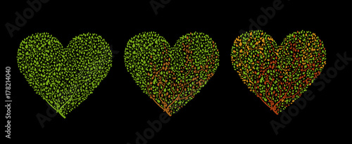 stage of the heart desease concept, cancer concept, dying tissue concept, heart problem idea,