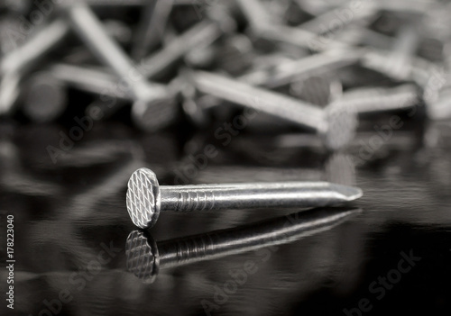 pile of metal nails on a white background photo