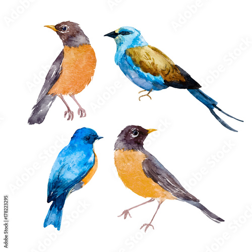 Watercolor bird vector set