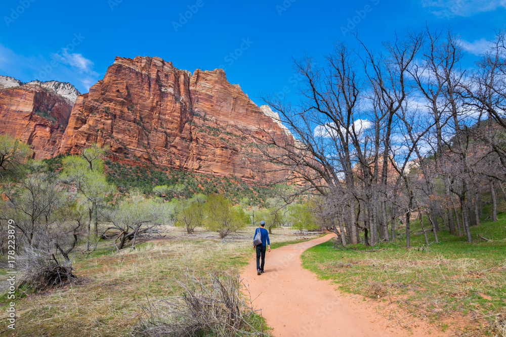 Colors and adventure at Zion National Park, Emerald Pools Trails, The Grotto, Angels Landing, Utah, USA Colors and adventure at Zion National Park, Emerald Pools Trails, The Grotto, Angels Landing, Utah, USA
