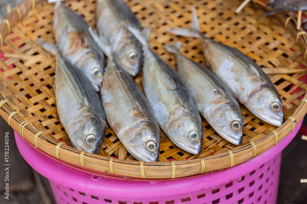 dried mackerel fish on bamboo threshing basket for sea food preservation dried mackerel fish on bamboo threshing basket for sea food preservation