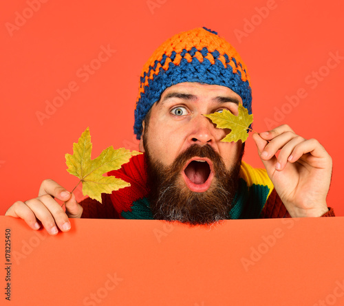 Hipster with beard and surprised face closes eyes with leaf