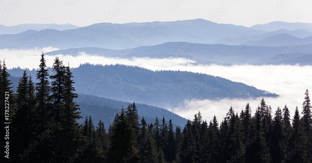 Beautiful hills at sunrise in the Carpathian mountains.