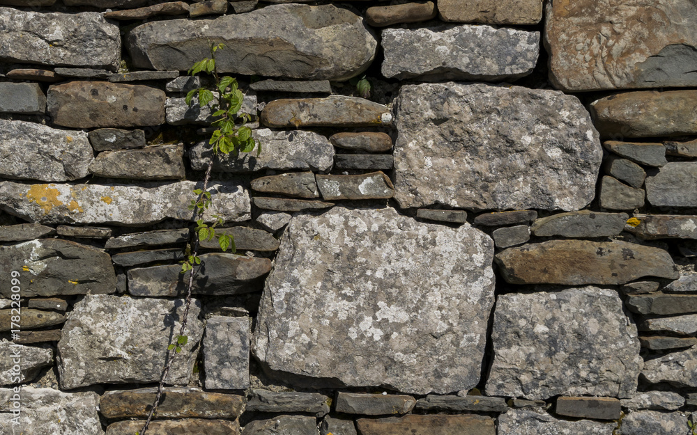 Obraz premium STONE WALL BACKGROUND