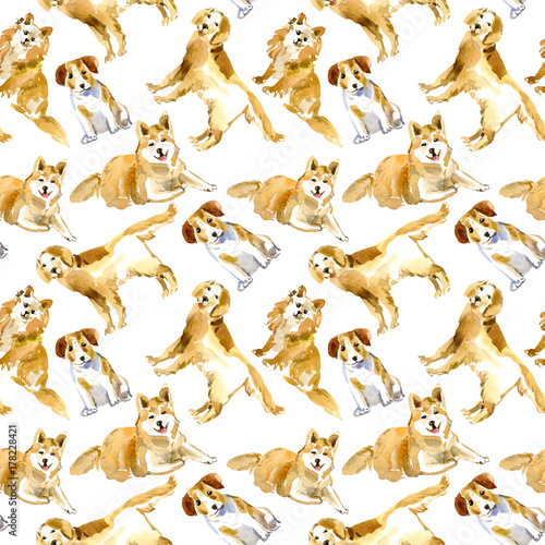 Fototapeta Naklejka Na Ścianę i Meble -  Seamless pattern of a dogs.Labrador,Jack Russell Terrier and husky.Domestic pet.Watercolor hand drawn illustration.White background.
