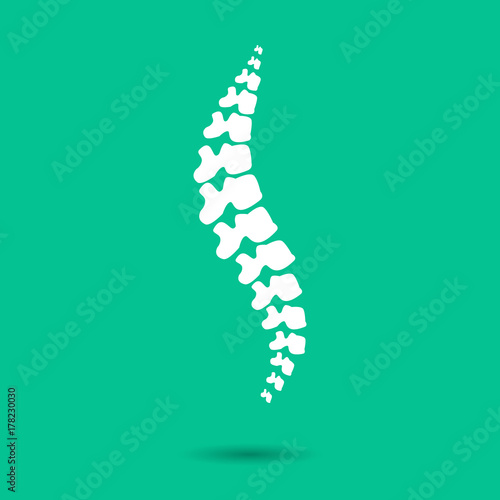 Human spine isolated on a green background. Vector illustration. White  silhouette spine diagnostic symbol, design, sign. Diagnostic center vector human spine silhouettes Spine. Logo element