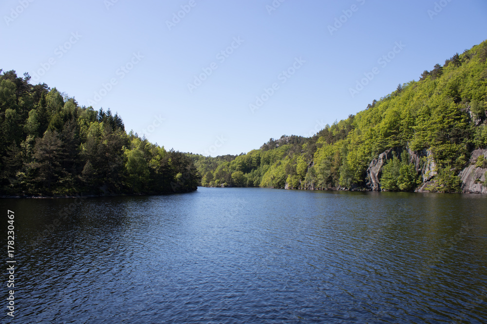 A small lake surrounded by beautiful summer colors. A small lake surrounded by beautiful summer colors.