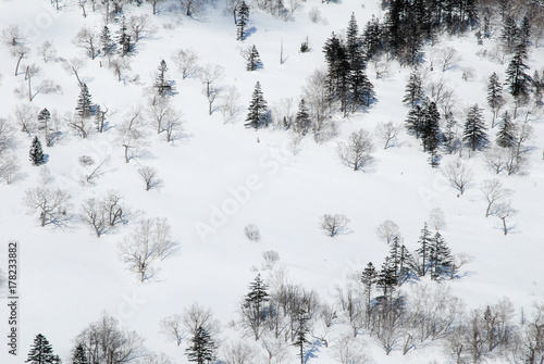 冬の日勝峠（北海道） © tatsuo115