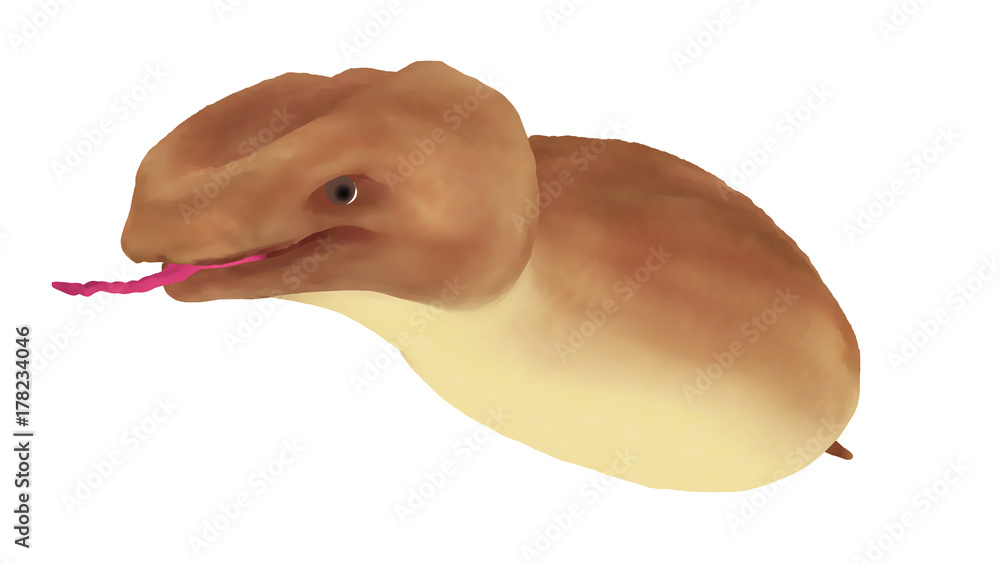 日本の未確認生物 Uma ツチノコ 水彩画風イラスト 斜め前から Stock Illustration Adobe Stock