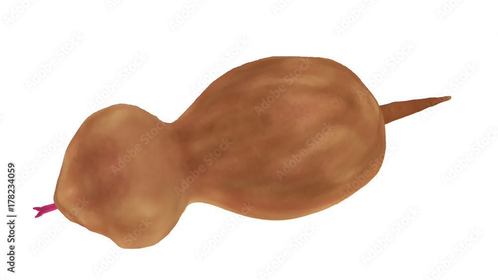 日本の未確認生物 Uma ツチノコ 水彩画風イラスト 上から Stock イラスト Adobe Stock