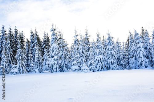 Winter scenery with snow © Edler von Rabenstein