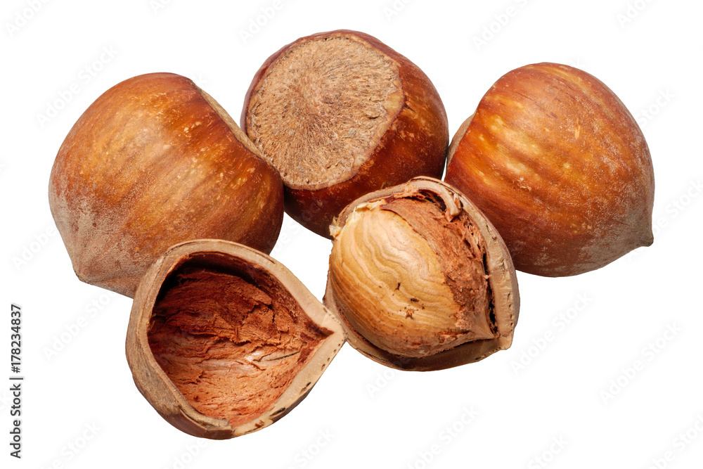 Group of nuts on a white background Group of nuts on a white background