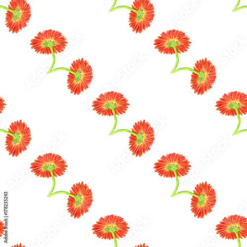Seamless pattern with marigold flower