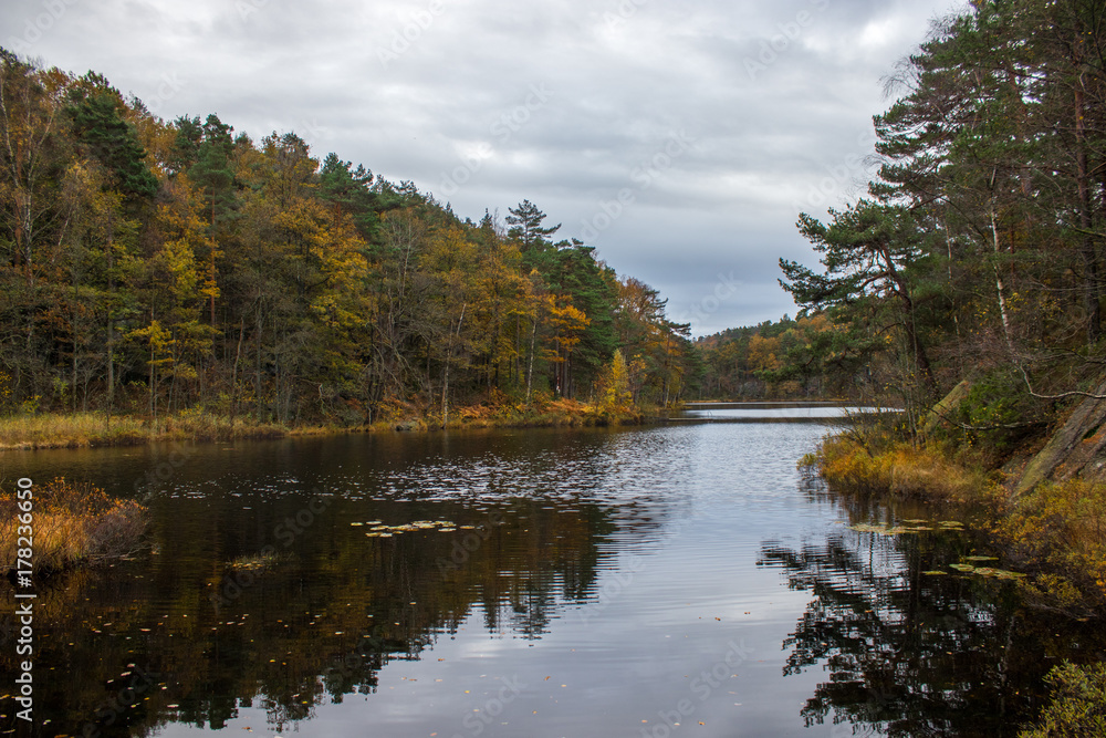 A small lake surrounded by beautiful autumn colors.