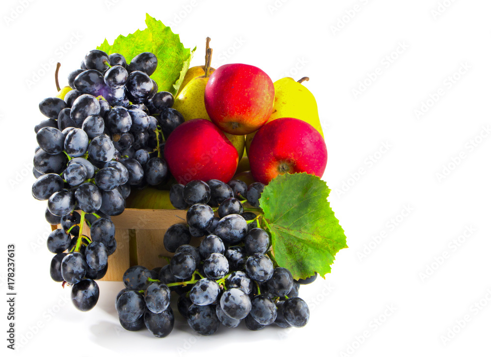 autumnal fruit in basket isolated on white background autumnal fruit in basket isolated on white background