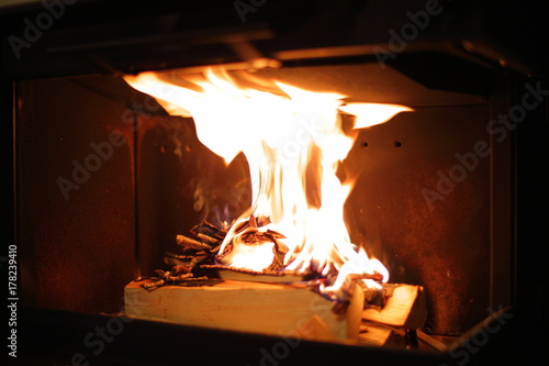burning wood in fire place