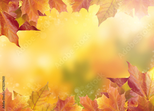 Blurred bright autumn background. Abstract colorful bokeh