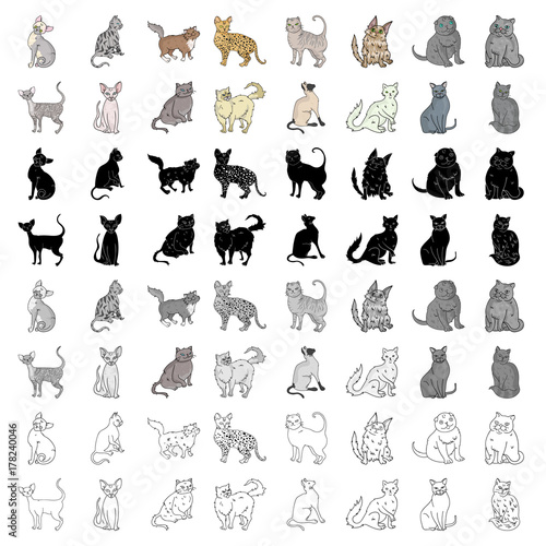Cat breeds set icons in cartoon style. Big collection of cat breeds vector symbol stock illustration