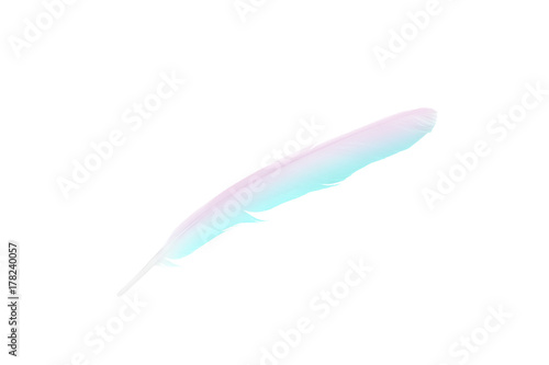 Beautiful colour pattern feather isolated on white background