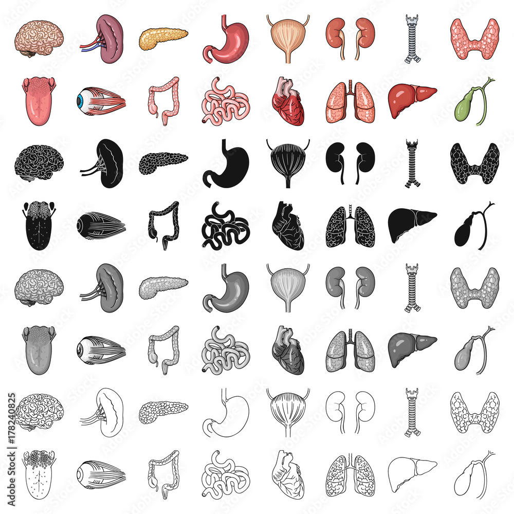 Human organs set icons in cartoon style. Big collection of human organs ...