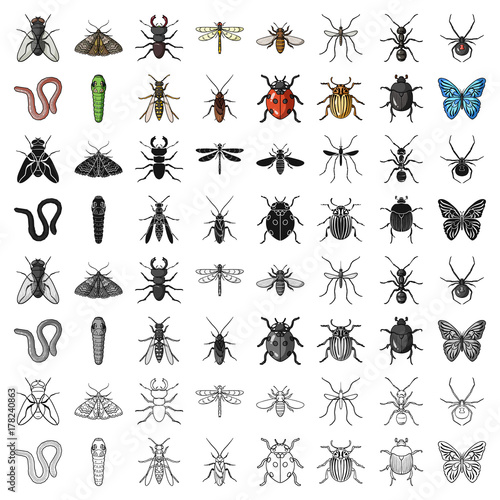 Insects set icons in cartoon style. Big collection of insects vector symbol stock illustration
