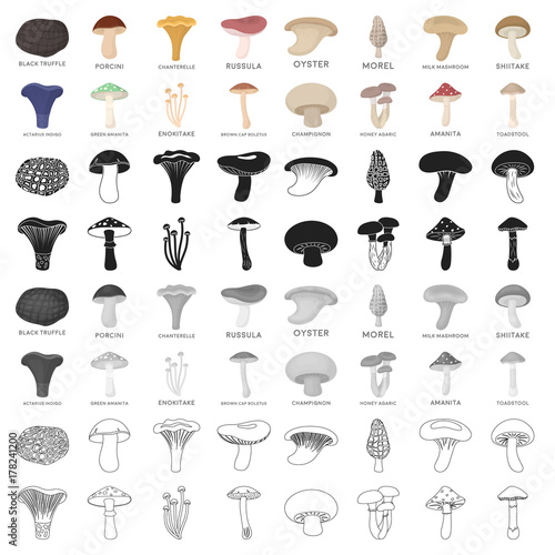 Mushroom set icons in cartoon style. Big collection of mushroom vector symbol stock illustration