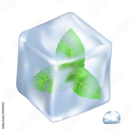 Leaves of Spermint in Ice Isolated Illustration