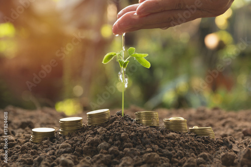Pouring a young plant from hand with stack coins. Gardening and watering plants. Business growing concept.