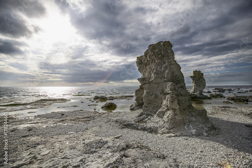 Korallenstöcke,Raukare, auf Gotland, schweden