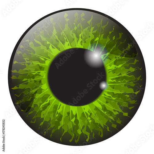 green iris eye realistic  vector set design isolated on white background