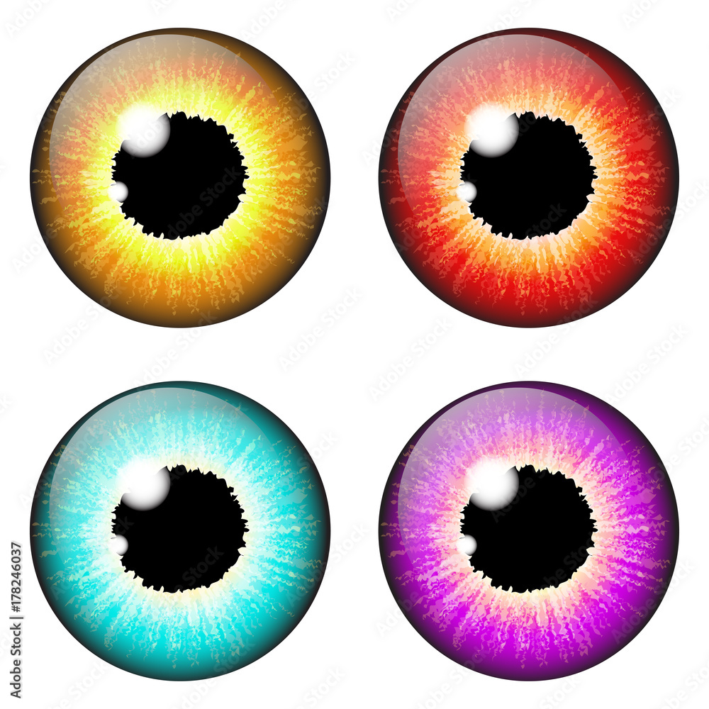  iris eye realistic  vector set design isolated on white background