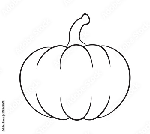pumpkin outline vector  design isolated on white background