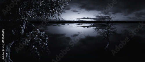 Dark Horror Spooky tree.  Dark Night Background.