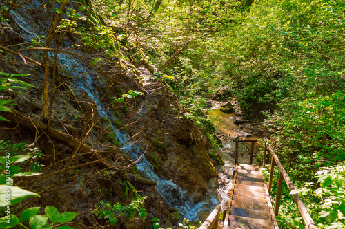Waterfall, thicket and wooden stairs in the park Berendeyevo Tsarstvo in sunny summer day, Sochi, Russia