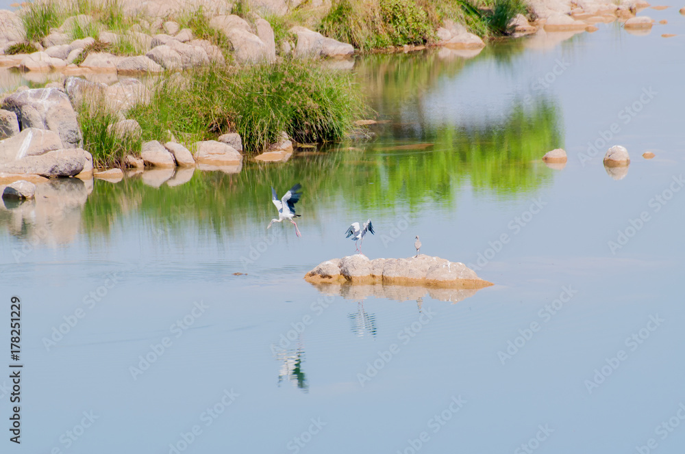 Panna river and rivebed at Panna National Park, Madhya Pradesh, India Panna river and rivebed at Panna National Park, Madhya Pradesh, India