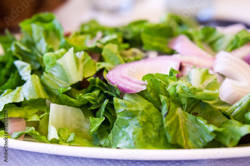 Lettuce salad with onions
