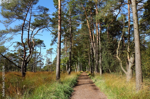 Wald- und Moorweg Schnaakenmoor