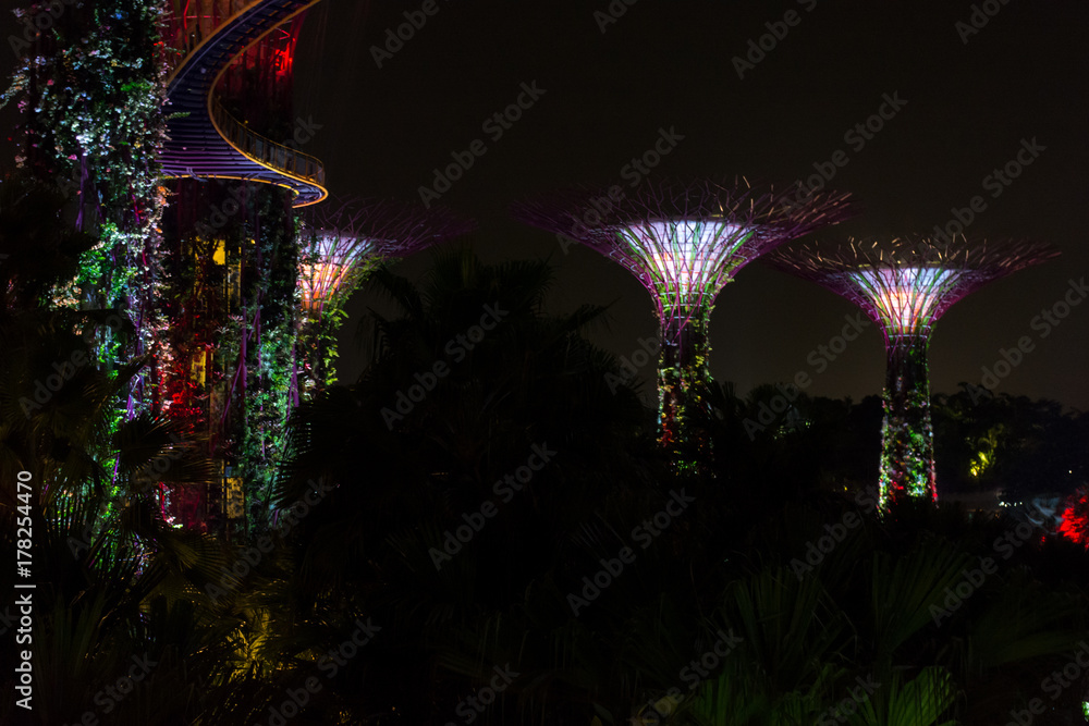 Night view of Gardens By The Bay