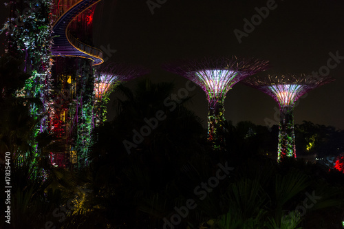 Night view of Gardens By The Bay