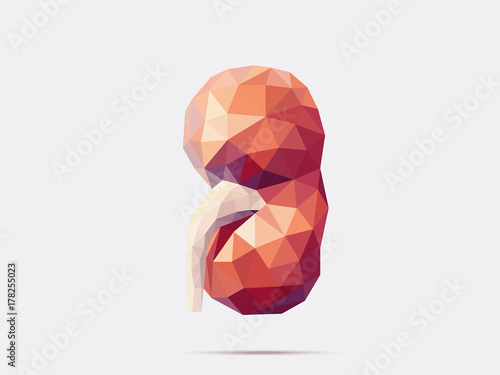 Kidney poly faceted