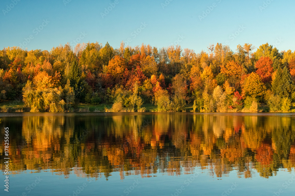 Trees in the autumn countryside with lake mirroring
