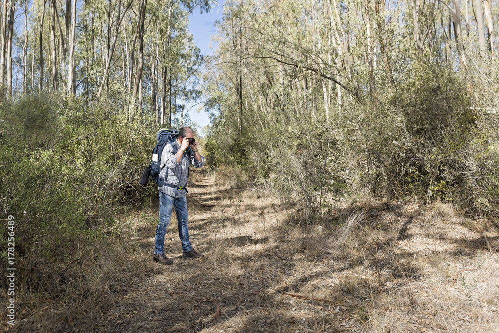 Hiker in the woods