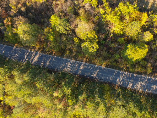 Road in the forest top view