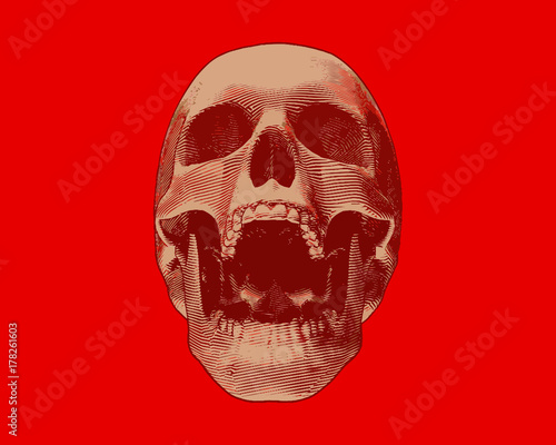 Engraving gold skull illustration scream on red BG